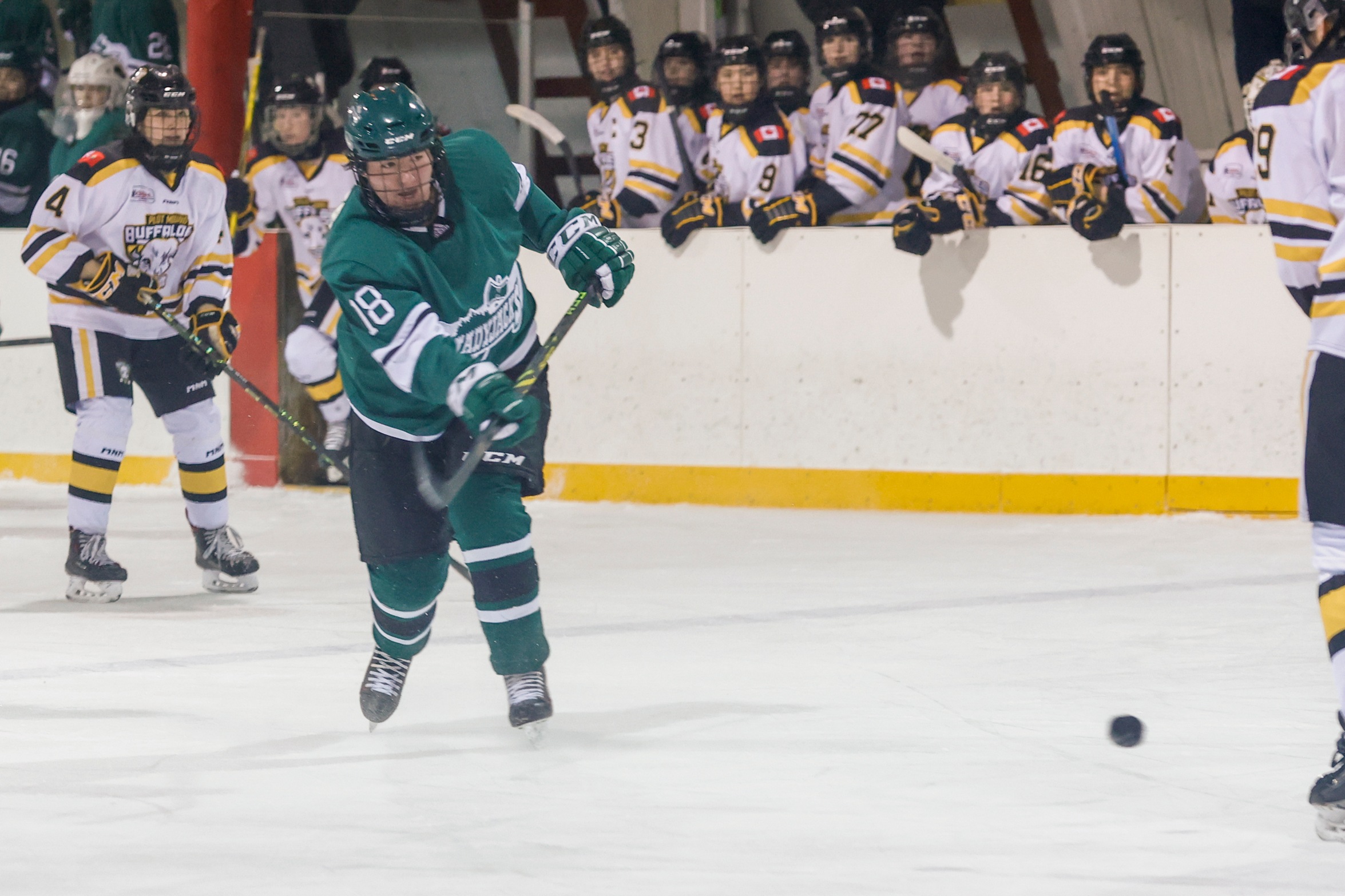 Ladyjacks Fall in National Semi Finals