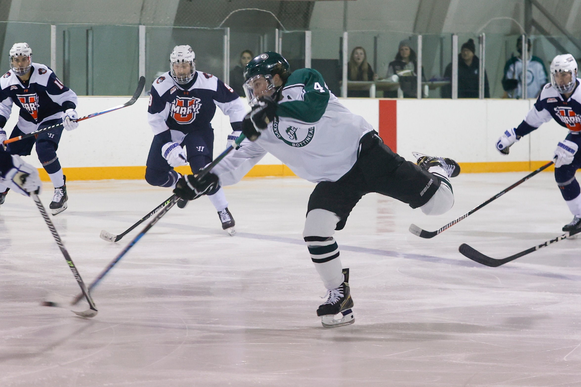 Beavers too Much for Jacks