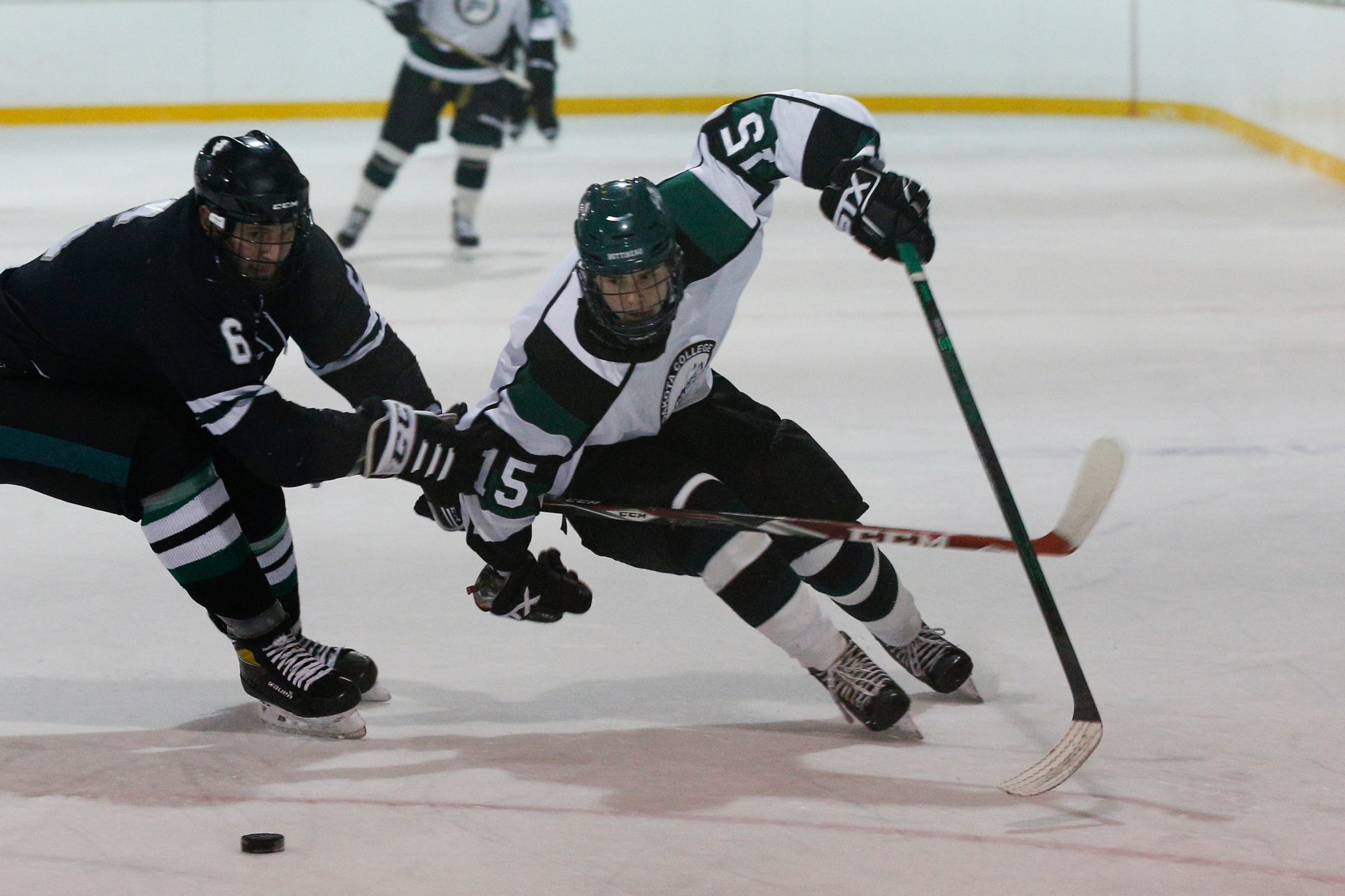 Men's Hockey Qualifies For ACHA National Tournament!